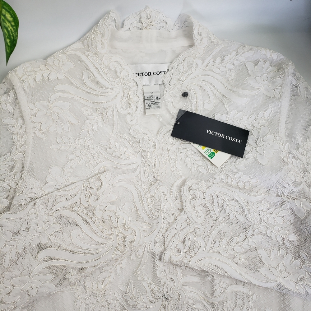 Victor Costa White Lace Embroidery Sheer Formal Feminine Snap Victorian - Picture 10 of 15